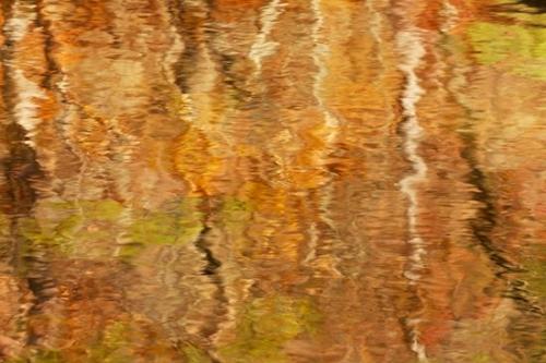 Gold;Autumn;Yellow;Tan;Abstract;Reflections;Fall;Textures;Abstraction;Little River Canyon National Preserve;Green;Horizontal;Patterns;Alabama;Reflection;Water;Orange;Brown;Abstracts
